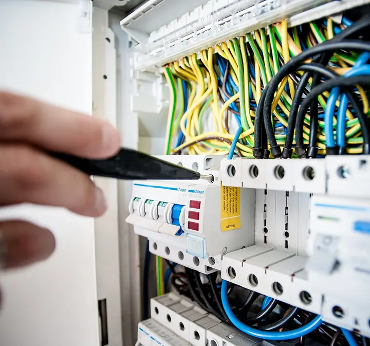 Equipo Proin en campo