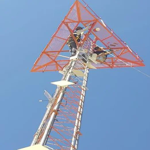 Mantenimiento Torre de 45mts Universidad de Sonora Hermosillo, Sonora.