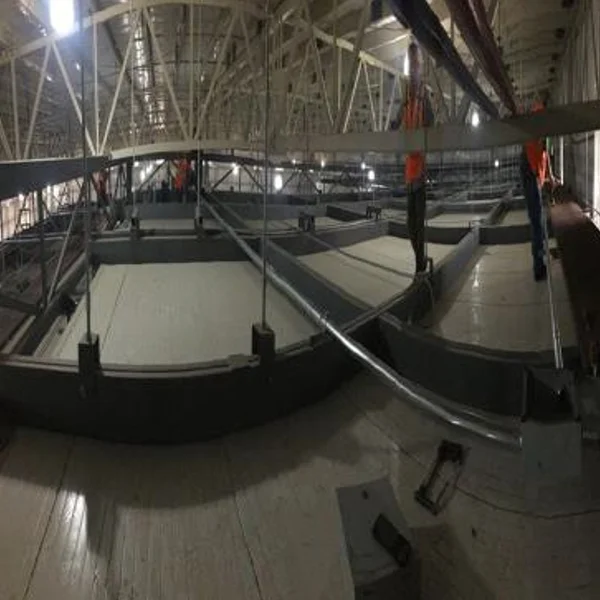 Proyecto línea de producción, deshidratados. Procescir Hermosillo, SON.